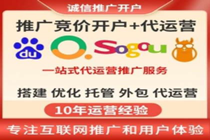 专业SEM服务公司案例分析报告